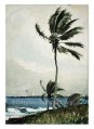 Palmier réalisme marine peintre Winslow Homer